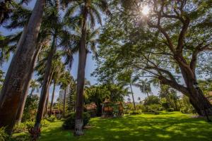 New Bamboo La Tropical