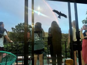 Monteverde Monkey Hostel