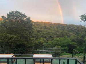 Monteverde Monkey Hostel