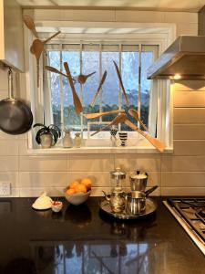 Spacious Beachside Apartment