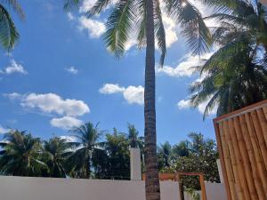 Tiky Nemberala Apartments and Villa