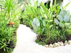 Villa Pura Vida Apartments Siargao