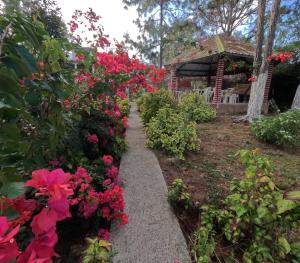Cabaña monte de los olivos