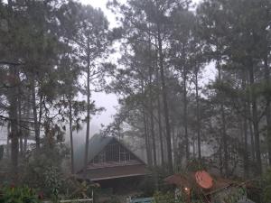 Cabaña monte de los olivos