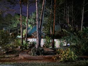 Cabaña monte de los olivos