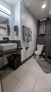 Canyon Coze - Ski, Board, Sled, Bike, Hike