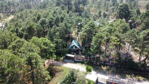 Cabaña monte de los olivos