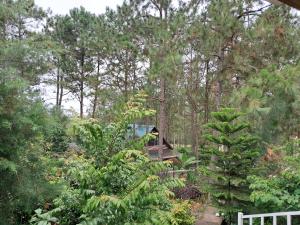 Cabaña monte de los olivos