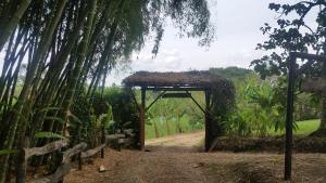 Finca Nuestro Sueño