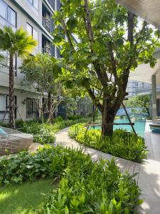 Poolside Paradise, Nice pool view