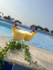 Hotel Arena Beach Cartagena