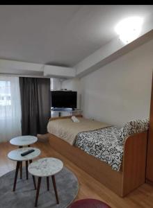 Apartment Stefan 2
