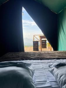 Peacock Hill Glamp