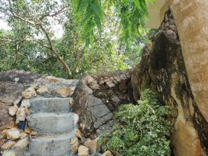 Hidden Gem Cozy House