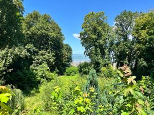 Maisons de vacances Cottage Vue Mer proche Deauville Le Clos Marin : photos des chambres