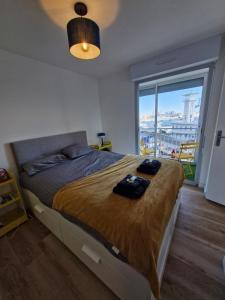 Appartements Le Nid Bleu : photos des chambres