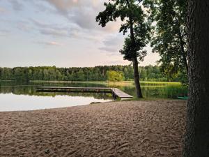 Apartament w Tarnowie Jeziernym