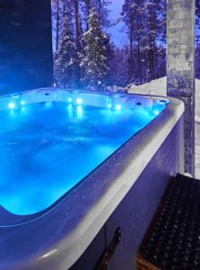 Villa Lux B Ski-in Ski-out by Aavalevi