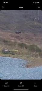 Nästeviken Björkhaget