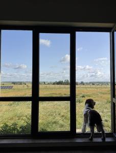 Agroturystyka Grodzisko