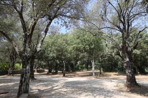Campings Alivi Di A Restonica : photos des chambres