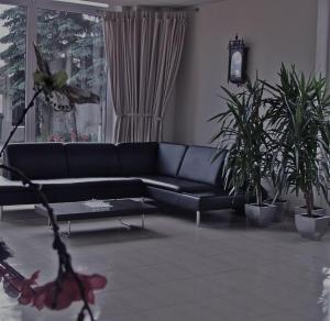 Motel Silver