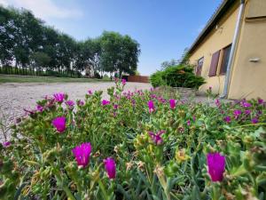 Nyárfás Vendégház