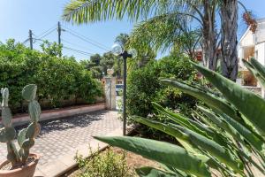 Dimora degli Agrumi - Salento Reservation