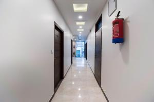 Collection O Blue Shine