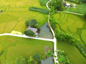 Mộc mạc nhà sàn