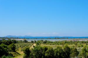 B&B / Chambres d'hotes Chateau Pascalette : Chambre Double - Vue sur Mer