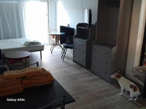 Appartements Les Oliviers : photos des chambres