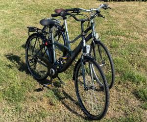 Luxe chalet op 5-sterren camping, 4P, ruime veranda, 2 fietsen