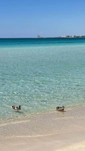 Salento apartment