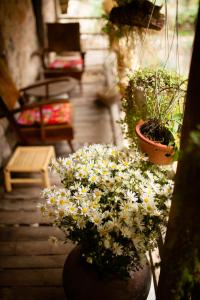 May Linh Homestay Ban Gioc Waterfall - Cao Bang