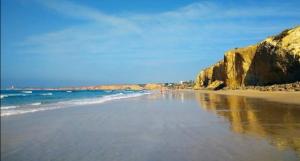 Salvado SPG Mar de Conil