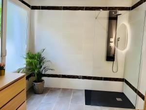 Villas Villa d-exception a Capbreton proche des plages : photos des chambres
