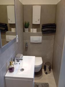 Downtown first floor apartment 6 guests on request Wilhelmstr 5 min to CHIO