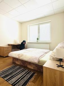 Srdce Mesta Pod Lipou - smart apartmán v centre