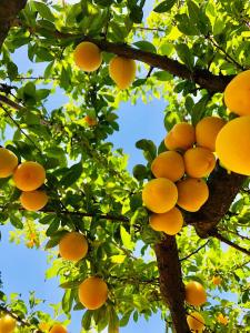 Casa Martins Country Apt 3 - Private parking & WiFi