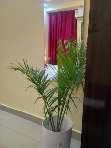 Lucknow Luxury Hotel And Restaurant