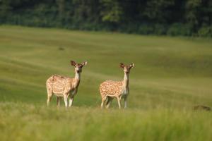 Gokarna Forest Resort Kathmandu