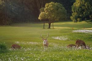 Gokarna Forest Resort Kathmandu