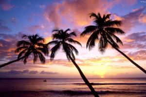 ARKEL Villa INDURUWA