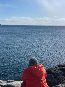 Kjeøya - Private island