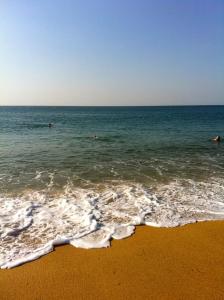 Appartements Location Pays Basque : photos des chambres