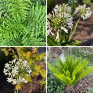 Ty Glazu Villa neuve grand confort, jardin 1600m2, GR34, criques, restos et port Doelan à pied