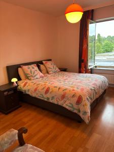 Central peak of Embourg Apartment