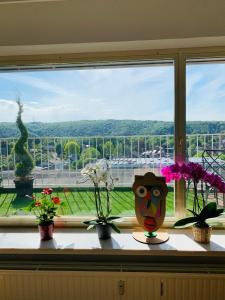 Central peak of Embourg Apartment