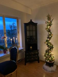 Central peak of Embourg Apartment